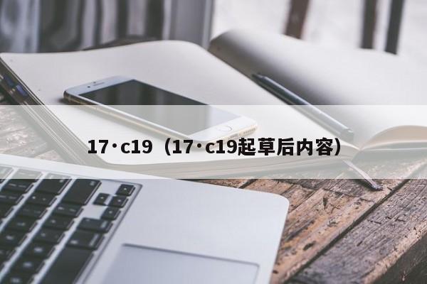17·c19（17·c19起草后内容）