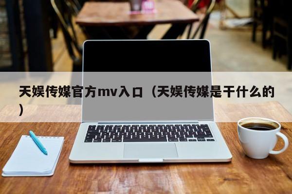 天娱传媒官方mv入口（天娱传媒是干什么的）